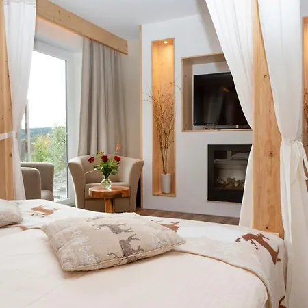 Fernsicht Otel 3*